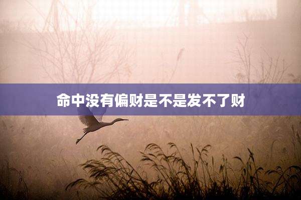 命中没有偏财是不是发不了财