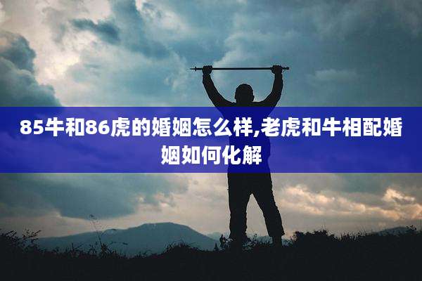 85牛和86虎的婚姻怎么样,老虎和牛相配婚姻如何化解