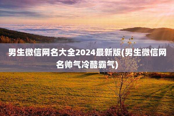 男生微信网名大全2024最新版(男生微信网名帅气冷酷霸气)
