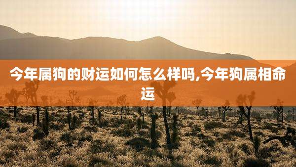 今年属狗的财运如何怎么样吗,今年狗属相命运