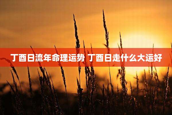 丁酉日流年命理运势 丁酉日走什么大运好