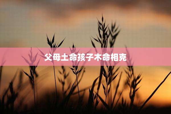 父母土命孩子木命相克