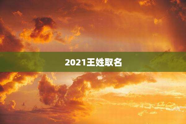 2021王姓取名