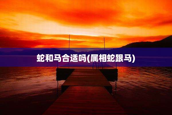 蛇和马合适吗(属相蛇跟马)