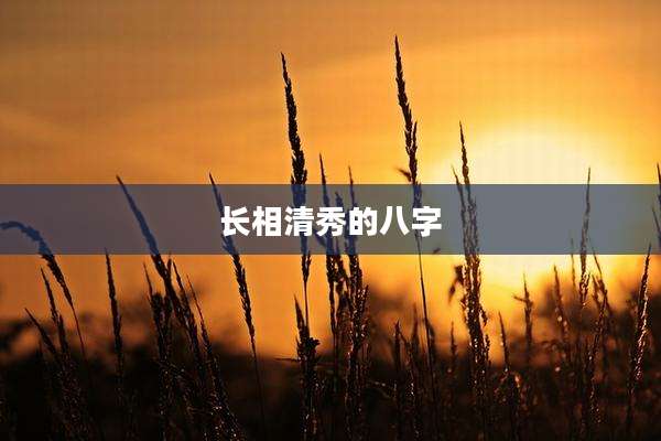 长相清秀的八字