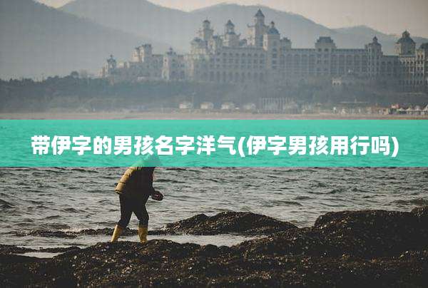 带伊字的男孩名字洋气(伊字男孩用行吗)