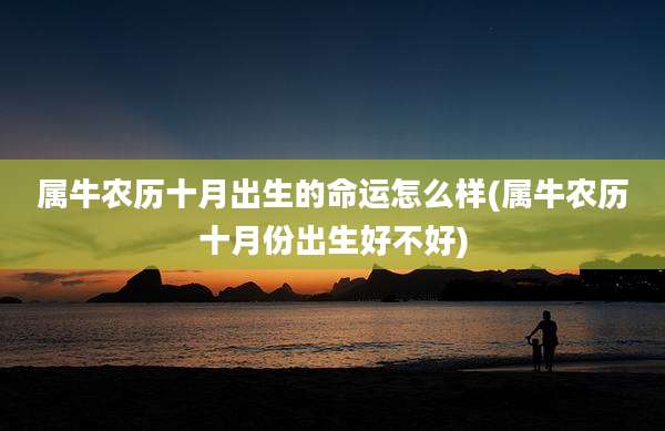 属牛农历十月出生的命运怎么样(属牛农历十月份出生好不好)