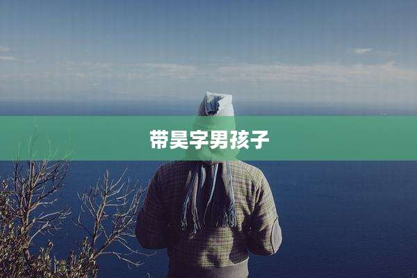 带昊字男孩子