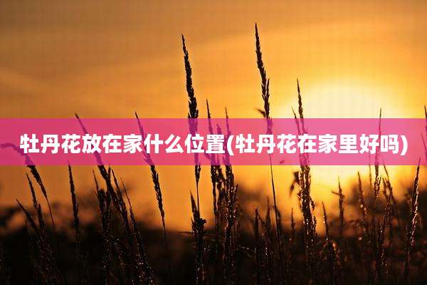 牡丹花放在家什么位置(牡丹花在家里好吗)