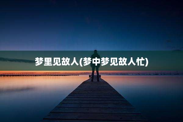 梦里见故人(梦中梦见故人忙)
