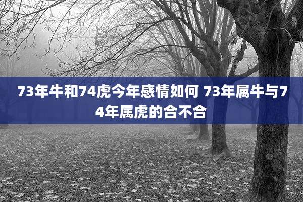 73年牛和74虎今年感情如何 73年属牛与74年属虎的合不合