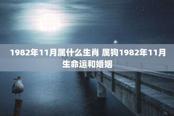 1982年11月属什么生肖 属狗1982年11月生命运和婚姻