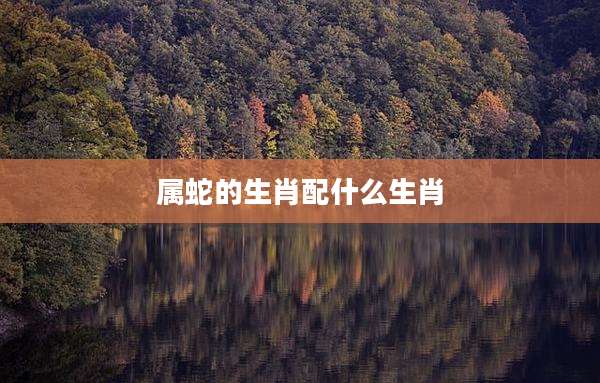 属蛇的生肖配什么生肖