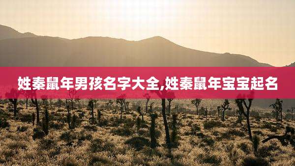 姓秦鼠年男孩名字大全,姓秦鼠年宝宝起名