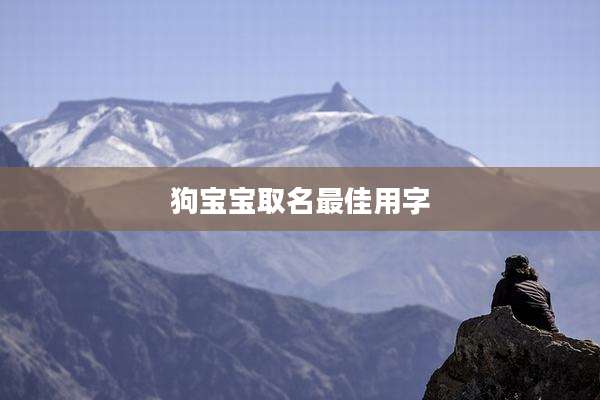 狗宝宝取名最佳用字