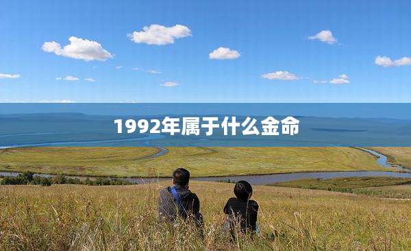 1992年属于什么金命