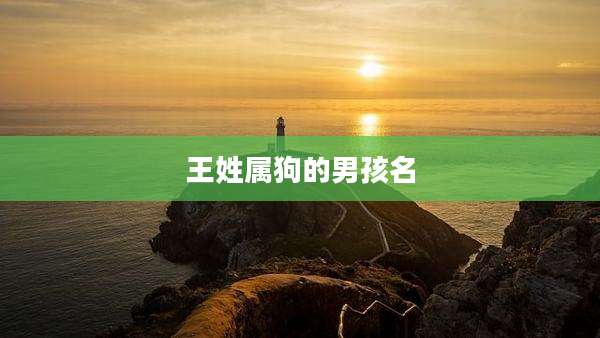 王姓属狗的男孩名