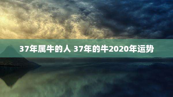 37年属牛的人 37年的牛2020年运势