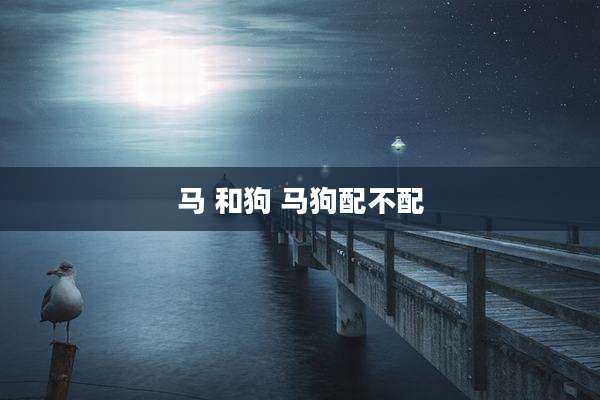 马 和狗 马狗配不配