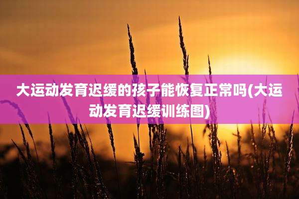 大运动发育迟缓的孩子能恢复正常吗(大运动发育迟缓训练图)