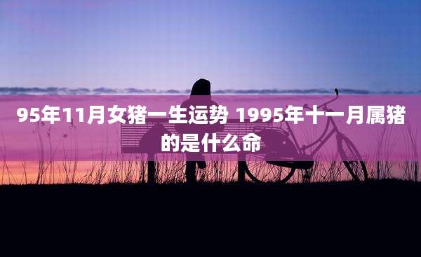 95年11月女猪一生运势 1995年十一月属猪的是什么命