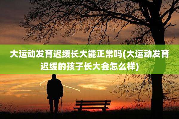 大运动发育迟缓长大能正常吗(大运动发育迟缓的孩子长大会怎么样)