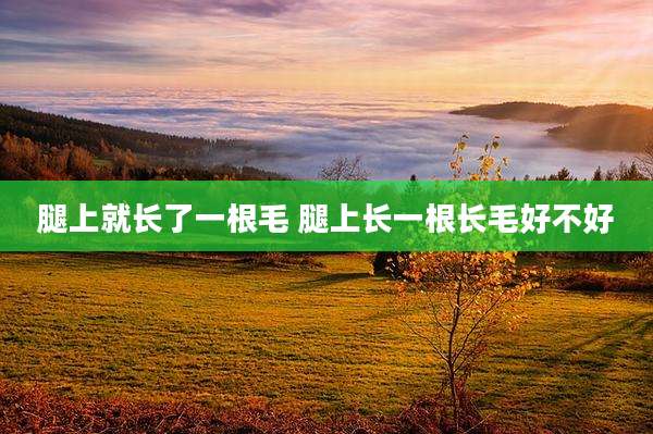腿上就长了一根毛 腿上长一根长毛好不好