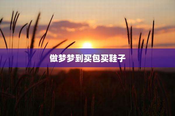 做梦梦到买包买鞋子