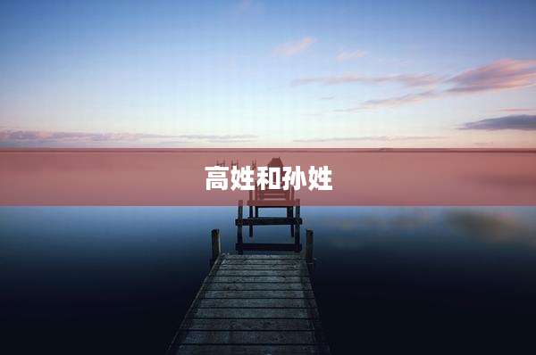 高姓和孙姓