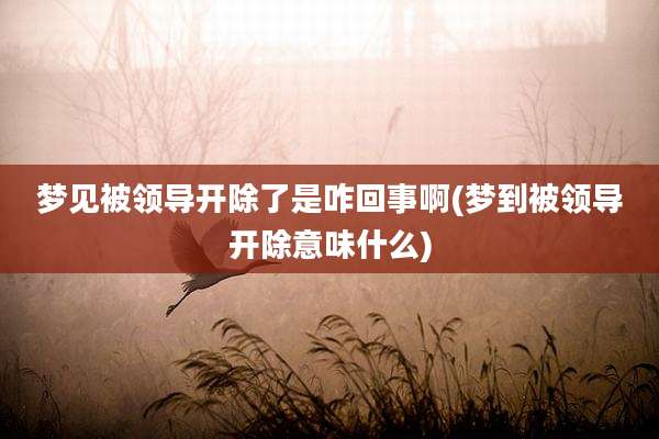 梦见被领导开除了是咋回事啊(梦到被领导开除意味什么)