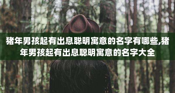 猪年男孩起有出息聪明寓意的名字有哪些,猪年男孩起有出息聪明寓意的名字大全