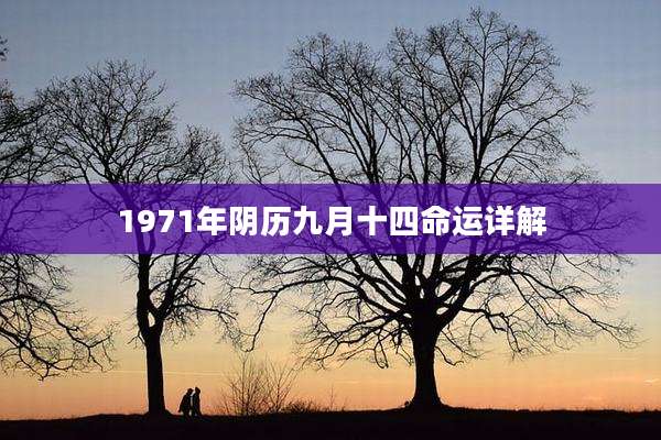 1971年阴历九月十四命运详解