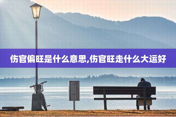 伤官偏旺是什么意思,伤官旺走什么大运好