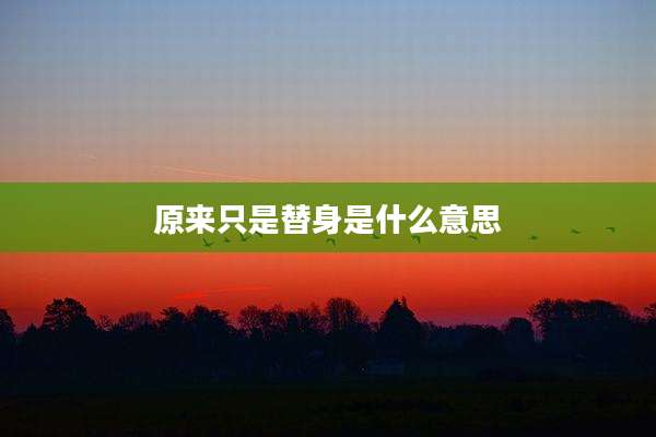 原来只是替身是什么意思