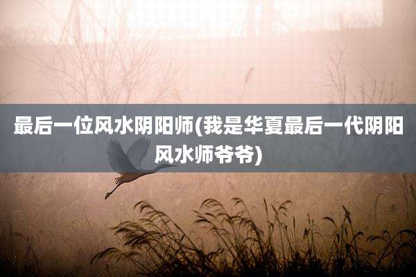 最后一位风水阴阳师(我是华夏最后一代阴阳风水师爷爷)