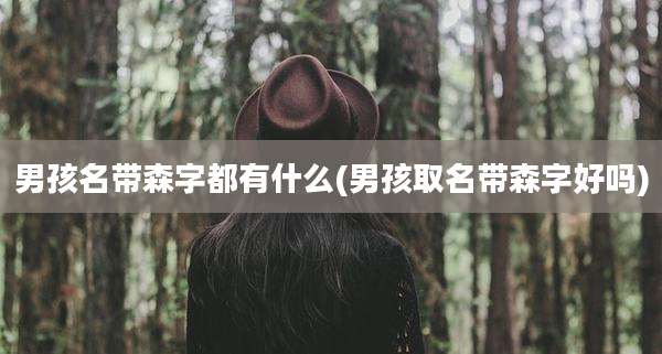 男孩名带森字都有什么(男孩取名带森字好吗)