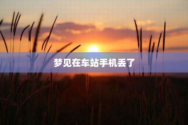 梦见在车站手机丢了