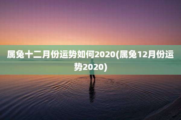 属兔十二月份运势如何2020(属兔12月份运势2020)