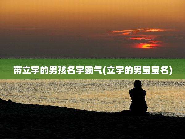 带立字的男孩名字霸气(立字的男宝宝名)