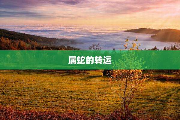 属蛇的转运