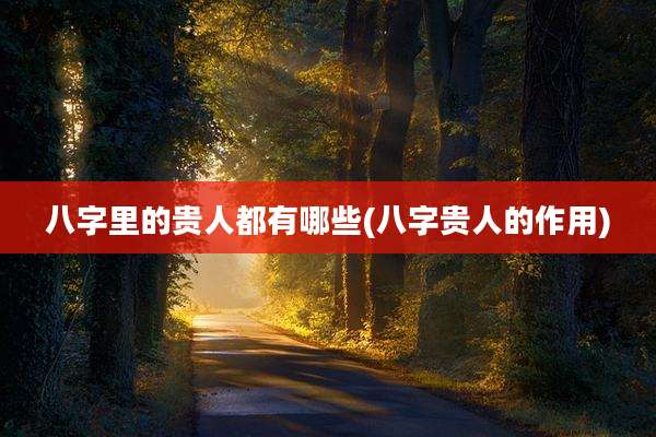 八字里的贵人都有哪些(八字贵人的作用)