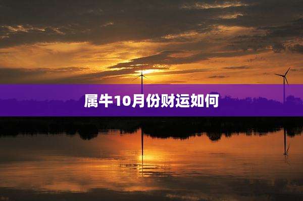 属牛10月份财运如何