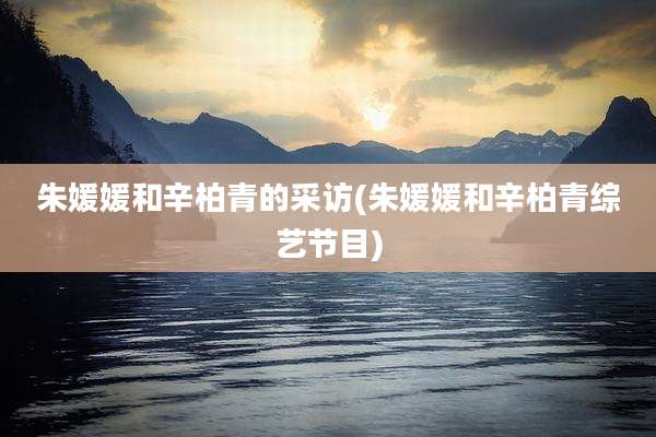朱媛媛和辛柏青的采访(朱媛媛和辛柏青综艺节目)