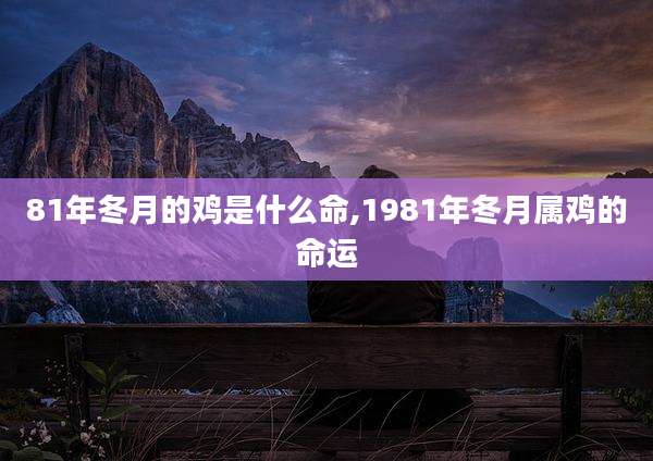 81年冬月的鸡是什么命,1981年冬月属鸡的命运