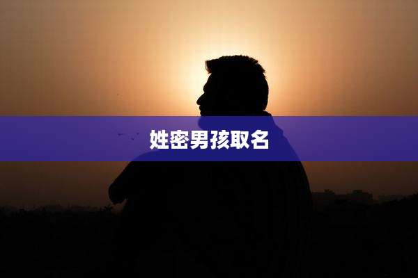 姓密男孩取名