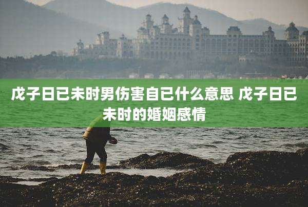 戊子日已未时男伤害自已什么意思 戊子日已未时的婚姻感情