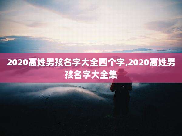 2020高姓男孩名字大全四个字,2020高姓男孩名字大全集