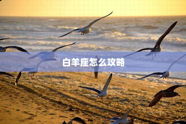 白羊座怎么攻略