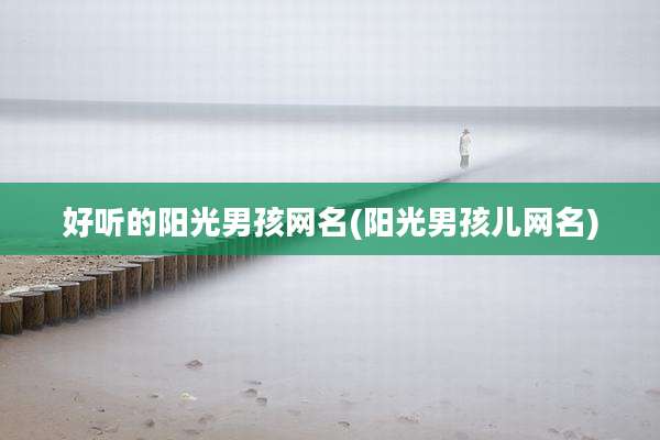 好听的阳光男孩网名(阳光男孩儿网名)