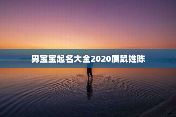 男宝宝起名大全2020属鼠姓陈